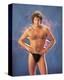 David Hasselhoff-null-Stretched Canvas