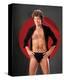 David Hasselhoff-null-Stretched Canvas