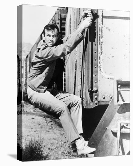 David Janssen - The Fugitive-null-Stretched Canvas