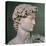 David-Michelangelo Buonarroti-Premier Image Canvas