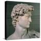 David-Michelangelo Buonarroti-Premier Image Canvas