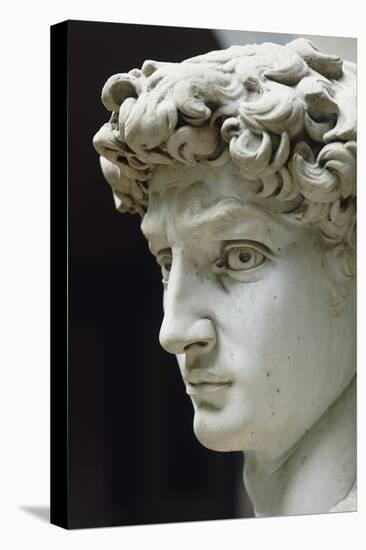 David-Michelangelo Buonarroti-Premier Image Canvas