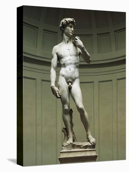 David-Michelangelo Buonarroti-Premier Image Canvas