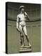 David-Michelangelo Buonarroti-Premier Image Canvas