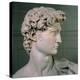 David-Michelangelo-Stretched Canvas