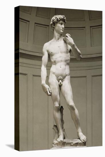 David-Michelangelo-Stretched Canvas