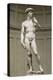 David-Michelangelo-Stretched Canvas