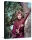 Davy Crockett: King of the Wild Frontier-null-Stretched Canvas