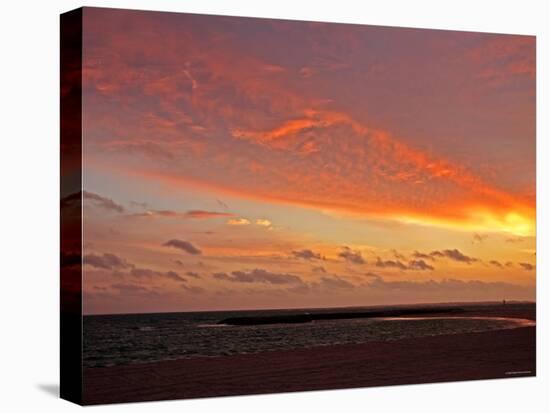 Dawn at Beach-null-Premier Image Canvas