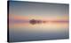 Dawn At Lake Mattamuskeet-Liyun Yu-Stretched Canvas