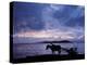 Dawn at Lake Ziway, Central Ethiopia, with the Silhouette of a Horse-Drawn Buggy-Nigel Pavitt-Premier Image Canvas