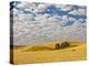 Dawn Breaks on Wheat Field, Walla Walla, Washington, USA-Richard Duval-Premier Image Canvas
