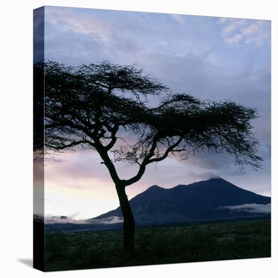 Dawn Breaks over Mount Meru, Tanzania-Nigel Pavitt-Premier Image Canvas