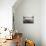 Dawn Harmony-Joe Cornish-Stretched Canvas displayed on a wall