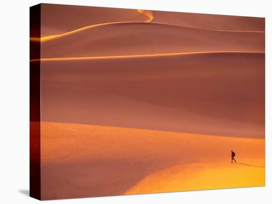 Dawn in Death Valley National park, California, USA-Charles Sleicher-Premier Image Canvas