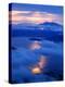 Dawn in Lake Kussharo-null-Premier Image Canvas