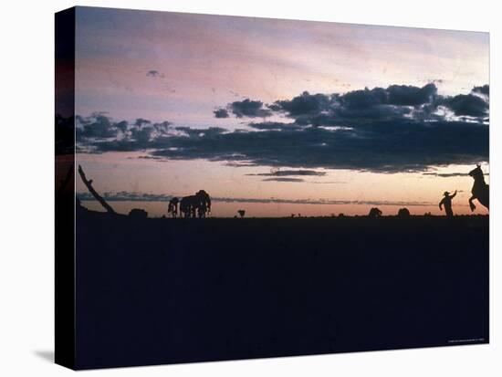 Dawn in the Australian Outback Finds a Stockman Trying to Calm His Rearing Horse-George Silk-Premier Image Canvas