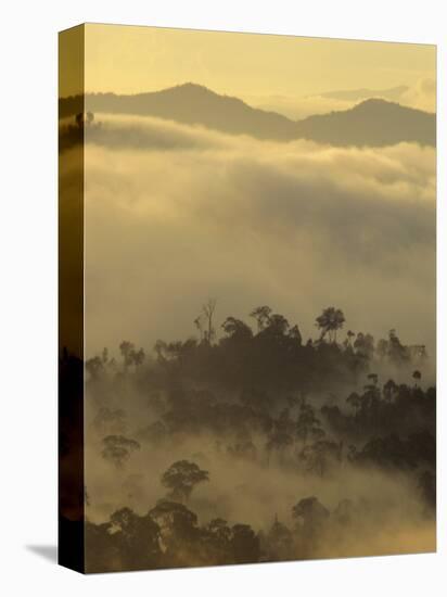 Dawn Light Silhouettes the Trees of the Rainforest, Danum Valley, Sabah, Island of Borneo, Malaysia-Louise Murray-Premier Image Canvas