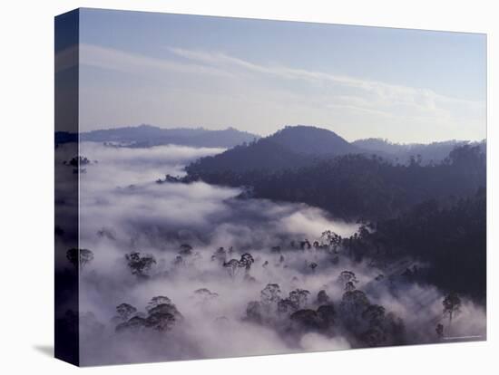 Dawn Mists Clearing Over Virgin Dipterocarp Rainforest, Danum Valley, Island of Borneo-Lousie Murray-Premier Image Canvas