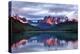 Dawn Torres del Paine-Larry Malvin-Premier Image Canvas