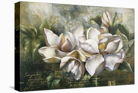 Dawning Magnolias-Meng-Stretched Canvas