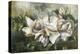 Dawning Magnolias-Meng-Stretched Canvas