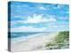 Day At The Beach-Julie DeRice-Stretched Canvas
