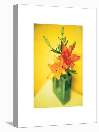 Day Lilies-unknown unknown-Stretched Canvas