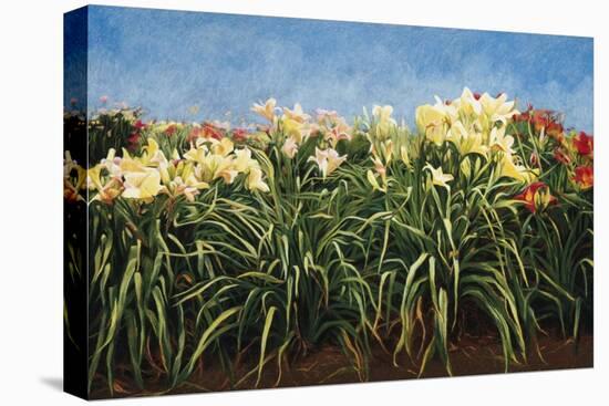 Day Lillies, c.1992-Helen J. Vaughn-Premier Image Canvas