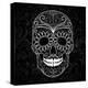Day Of The Dead Black And White Skull-Alisa Foytik-Stretched Canvas