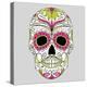 Day of the Dead Colorful Skull with Floral Ornament-Alisa Foytik-Stretched Canvas