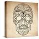 Day of the Dead Grungy Skull-Alisa Foytik-Stretched Canvas