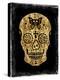 Day of the Dead in Gold & Black-Martin Wagner-Stretched Canvas