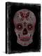 Day of the Dead in Red-Martin Wagner-Stretched Canvas