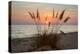 Day's End-H.J. Herrera-Premier Image Canvas