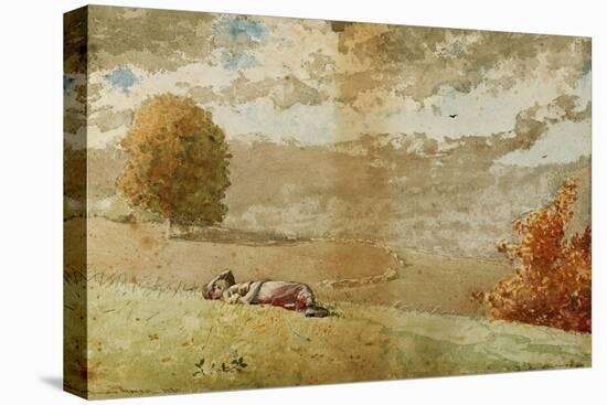 Daydreaming, 1880-Winslow Homer-Premier Image Canvas