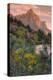 Days End from the Pa' Rus Trail, Zion-Vincent James-Premier Image Canvas