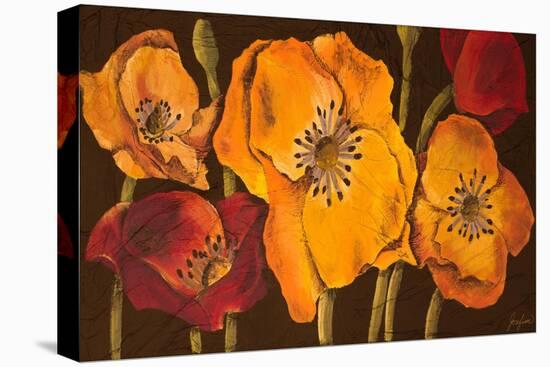 Dazzling Poppies II (Black)-Josefina-Stretched Canvas