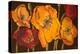 Dazzling Poppies II (Black)-Josefina-Stretched Canvas