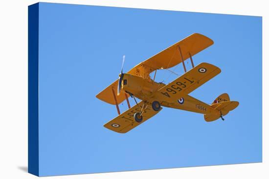 De Havilland Dh 82A Tiger Moth Biplane, Warbirds over Wanaka, Airshow, New Zealand-David Wall-Premier Image Canvas