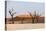 Dead Acacia Trees Silhouetted Against Sand Dunes at Deadvlei, Namib-Naukluft Park, Namibia, Africa-Alex Treadway-Premier Image Canvas