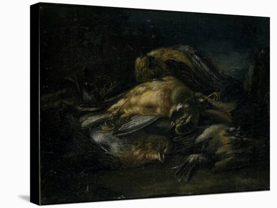 Dead Bird, 1664-Giovanni Benedetto Castiglione-Premier Image Canvas
