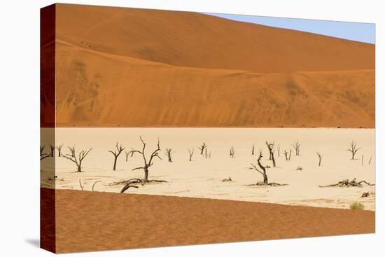 Dead Camelthorn trees on sand, Deadvlei, Sossusvlei, Namib Desert, Namibia, June.-Emanuele Biggi-Premier Image Canvas