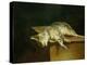 Dead cat. Oil on canvas,50 x 61 cm.-Theodore Gericault-Premier Image Canvas