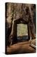 Dead Giant Tunnel Tree, Tuolumne Grove, Yosemite NP, California-David Wall-Premier Image Canvas