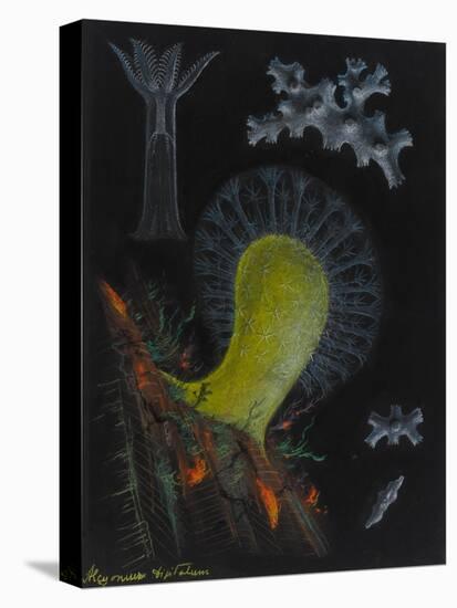 Dead Man's Fingers-Philip Henry Gosse-Premier Image Canvas