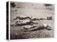 Dead on the Field of Gettysburg, July 1863-American Photographer-Premier Image Canvas