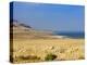 Dead Sea, Israel, Middle East-Michael DeFreitas-Premier Image Canvas