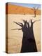 Dead Tree Casts Shadow on Dry Lakebed, , Sossusvlei, Namibia, Africa-Wendy Kaveney-Premier Image Canvas