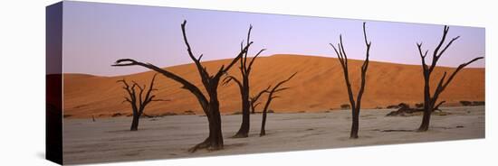 Dead Trees in a Desert at Sunrise, Dead Vlei, Sossusvlei, Namib-Naukluft National Park, Namibia-null-Premier Image Canvas